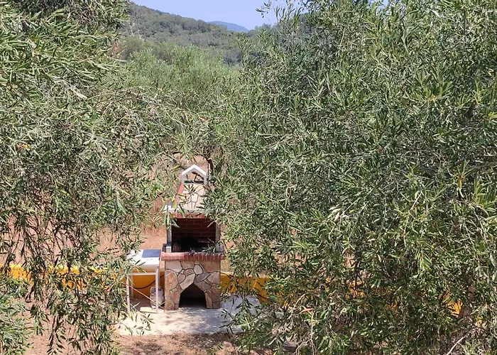 Summer In Corfu Lägenhet Halikounas